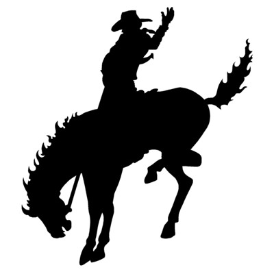 Cowboy